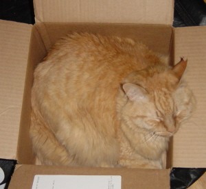 Tig in a box