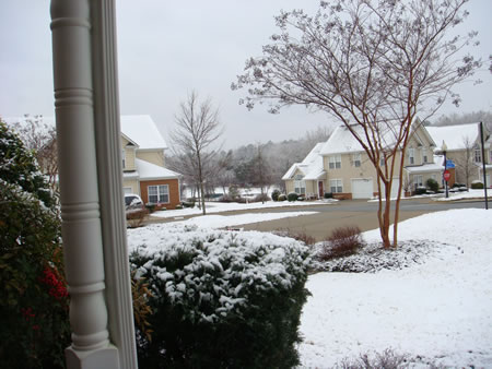 Looking out the front door