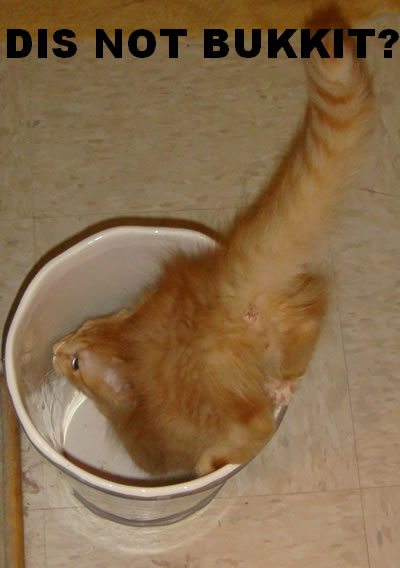 Tig in a bucket