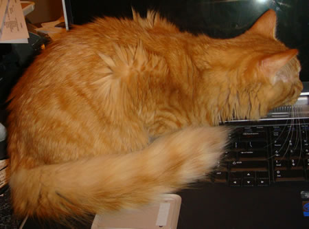 Tig on the laptop