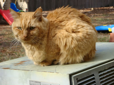 Tig on the AC unit