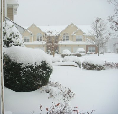 Snow on the deck